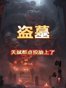 盗墓天书小说